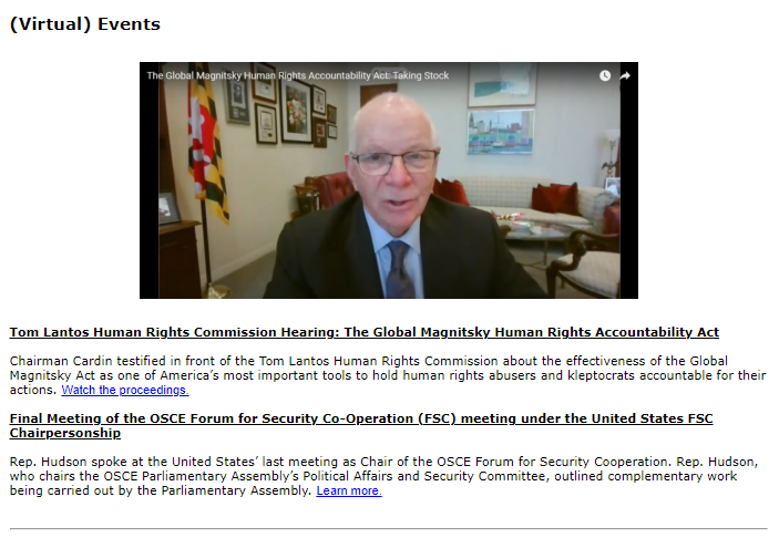 screen capture from a newsletter 6