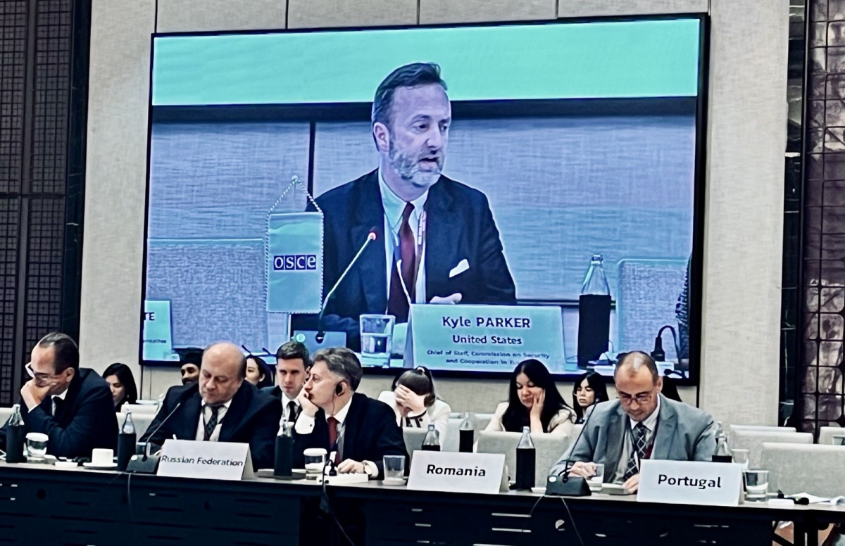 Kyle Parker projected on a large screen addressing OSCE conference with representatives from the Russian Federation, Romania, and Portugal in the front row