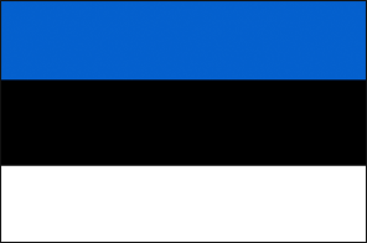 estonia flag 