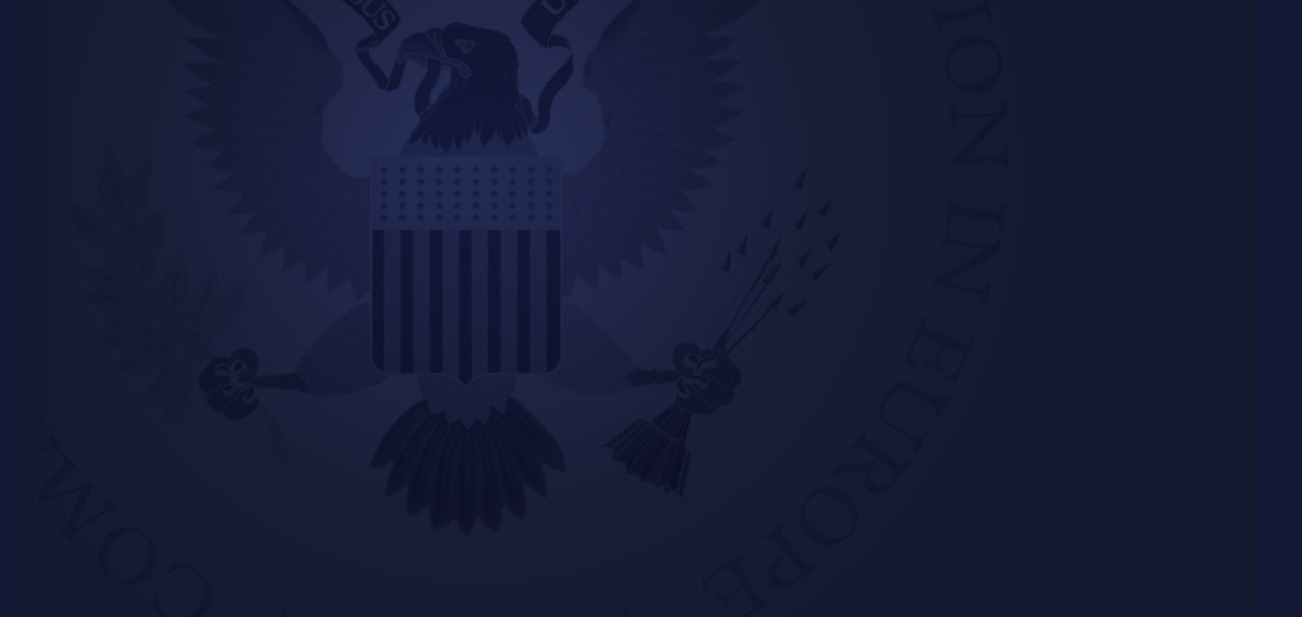 section bg 
