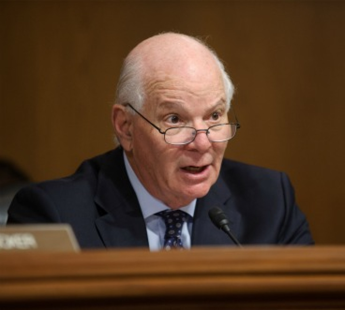 Cardin in Senate  