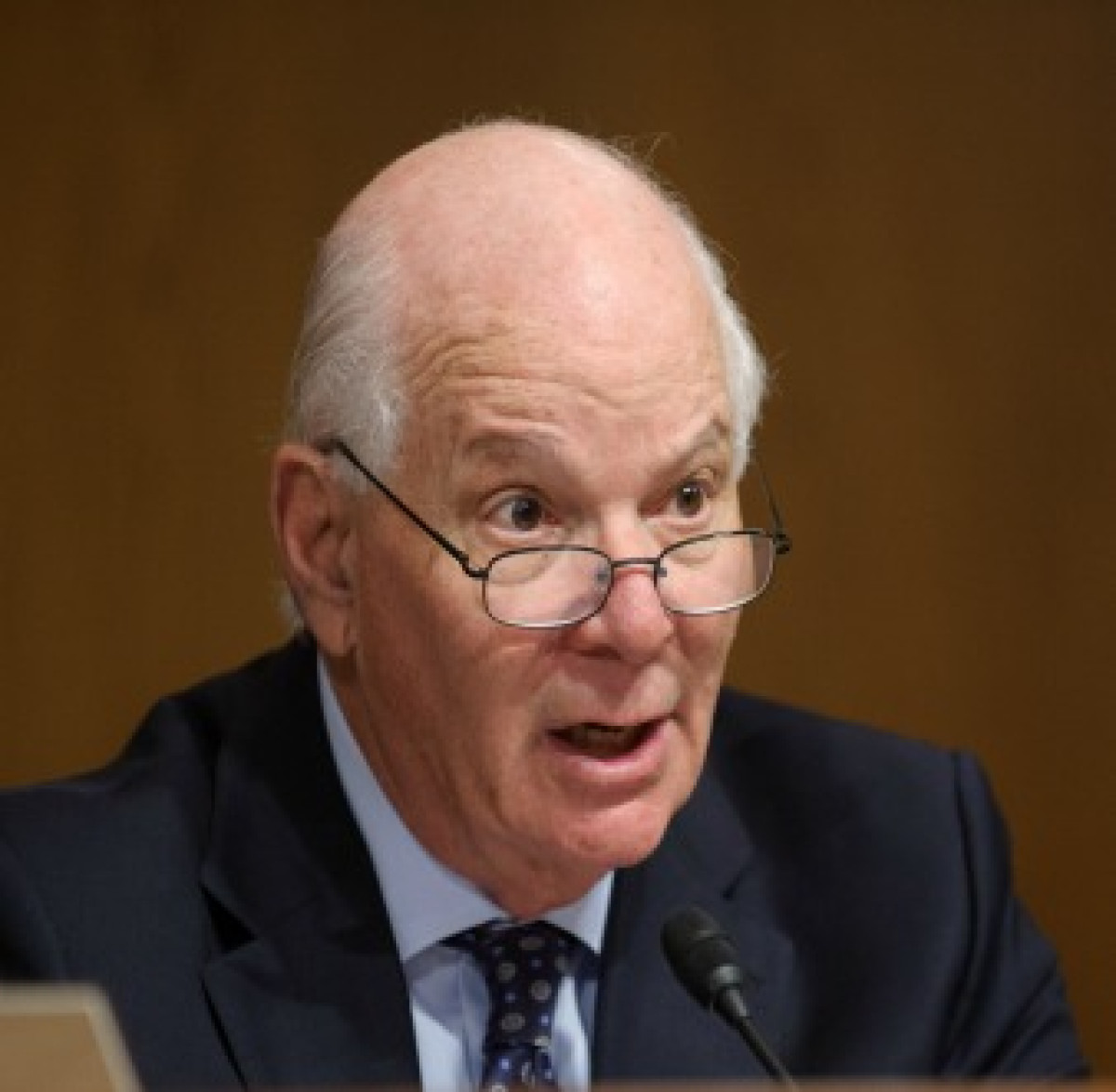 Cardin in Senate Horizontal 