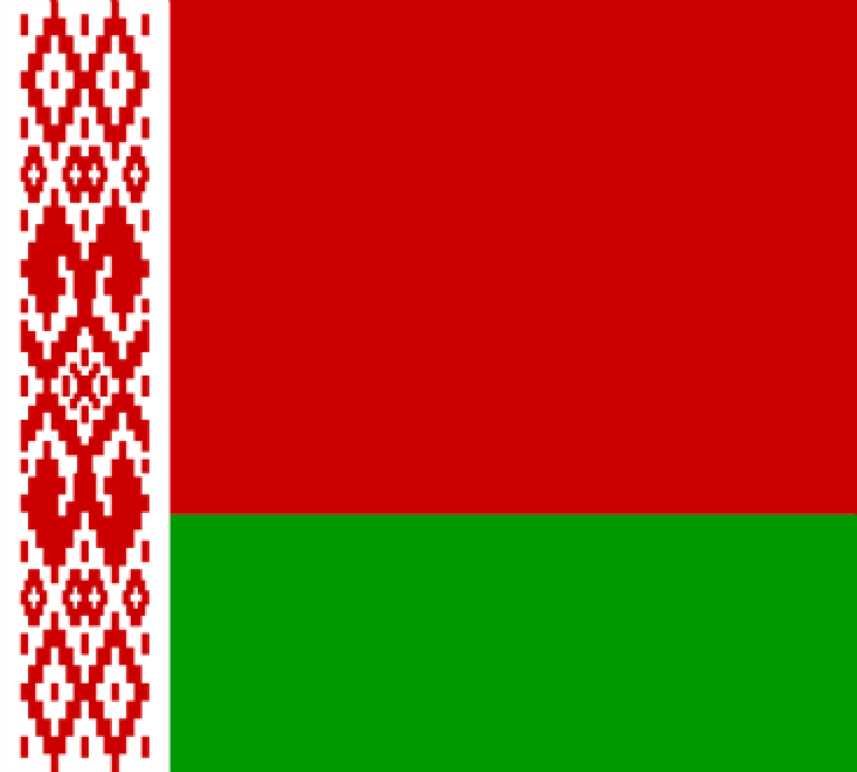 Flag of Belarus _ 