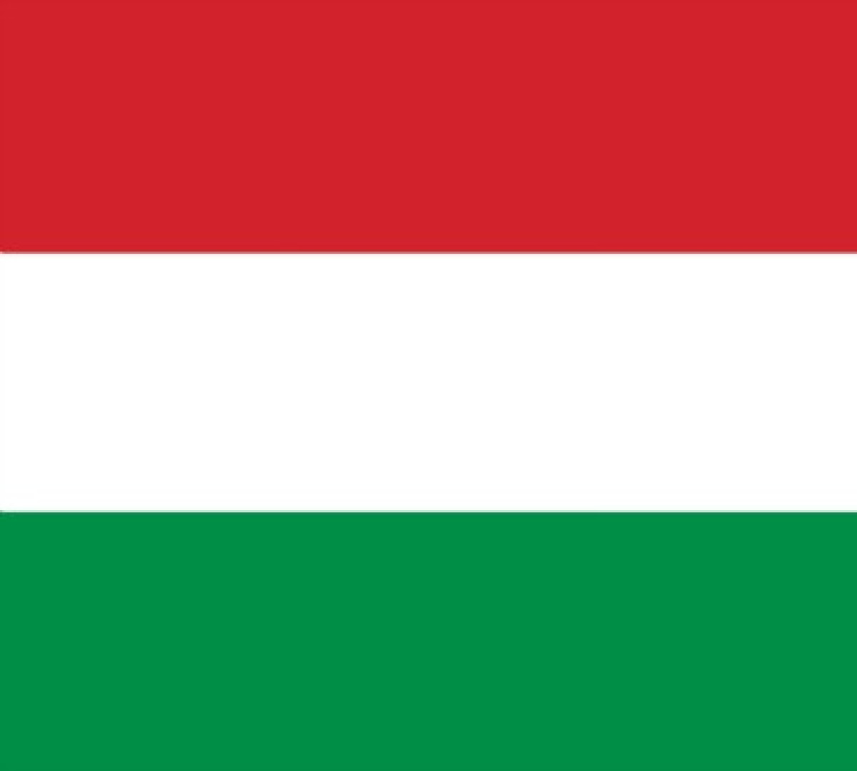 Flag of Hungary _ 