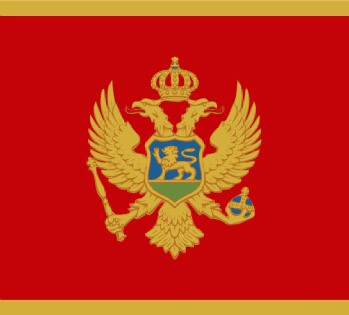 Flag of Montenegro _ 