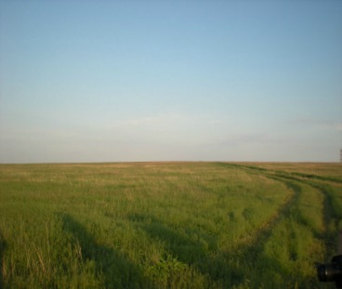 Russian Steppe Donbas area 