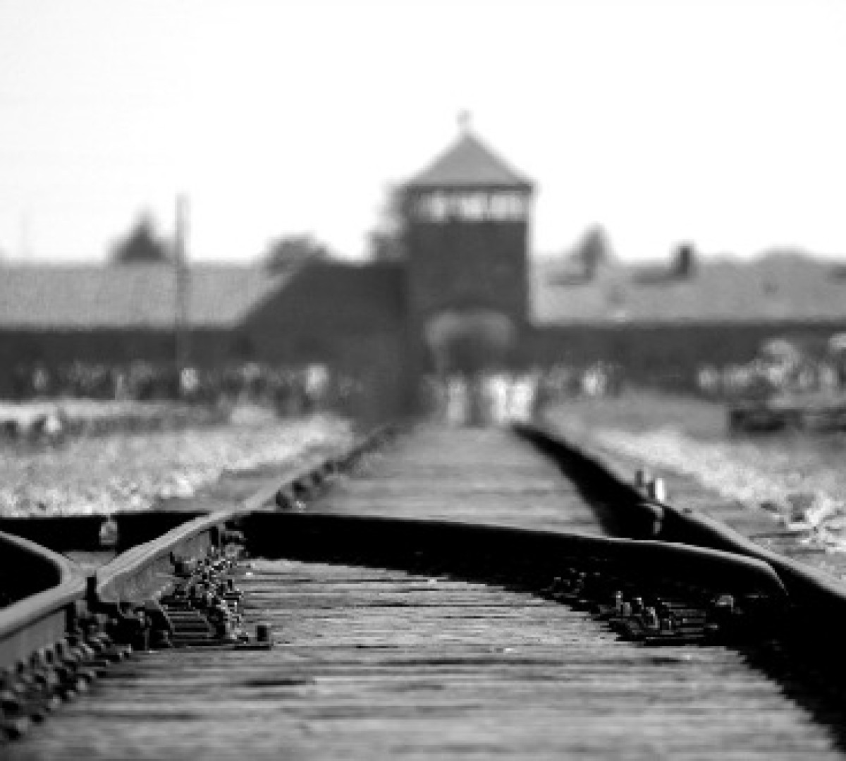 birkenau_tile_ 
