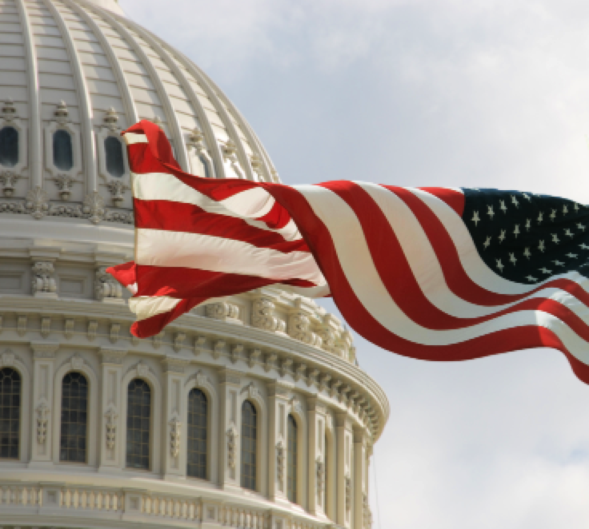 Capitol with flag  