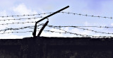 Prison Barbed Wire  