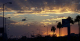 .. Los Angeles The Regional Impacts and Opportunities of Migration _hero_ 