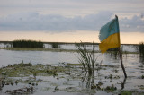 sea water nature marsh swamp winter  pxhere.com_ scaled  