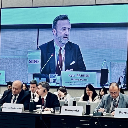 Kyle Parker projected on a large screen addressing OSCE conference with representatives from the Russian Federation, Romania, and Portugal in the front row
