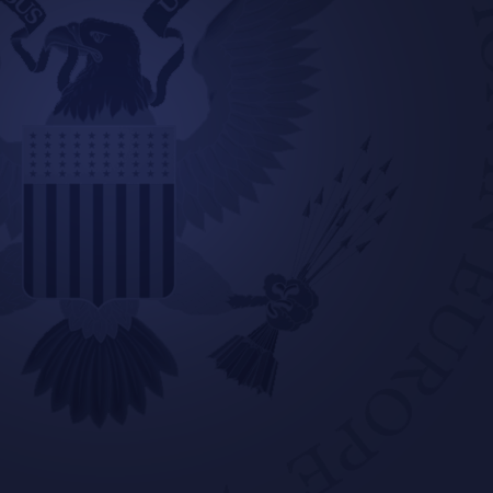 section bg 
