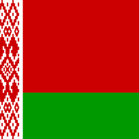 Flag of Belarus _ 