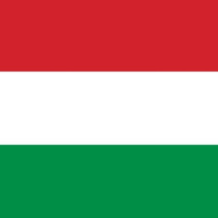 Flag of Hungary _ 
