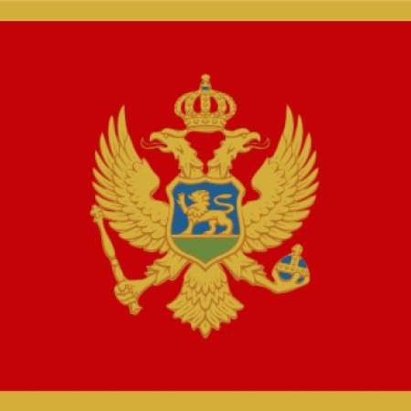 Flag of Montenegro _ 