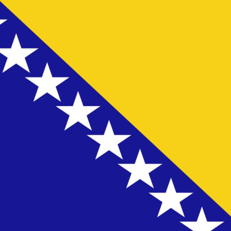Genocide in Bosnia Hero 