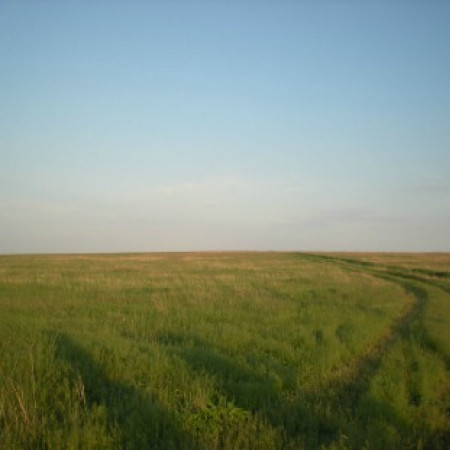 Russian Steppe Donbas area 