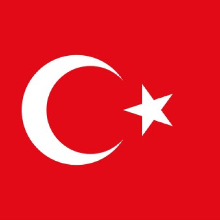 Torture in Turkey    