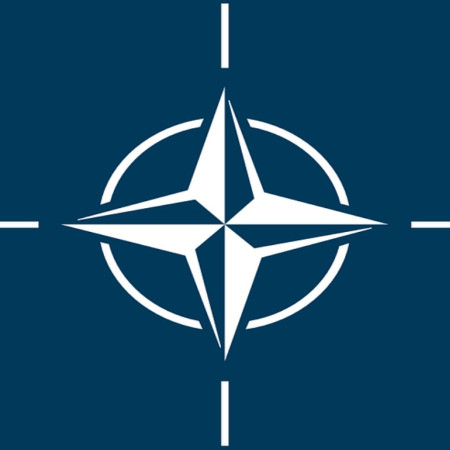 .. NATO Enlargement and the Bucharest Summit_hero_ 