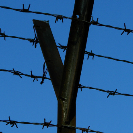 Barbed wire  