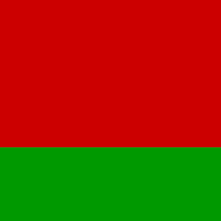 Flag of Belarus _ 