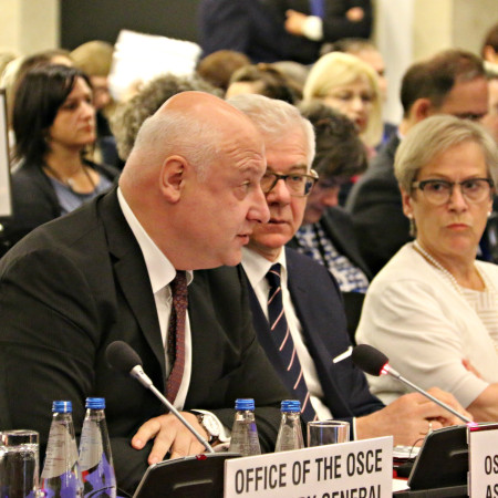 Tsereteli HDIM  