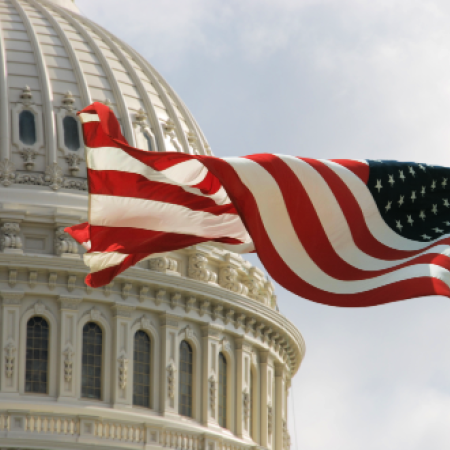 Capitol with flag  