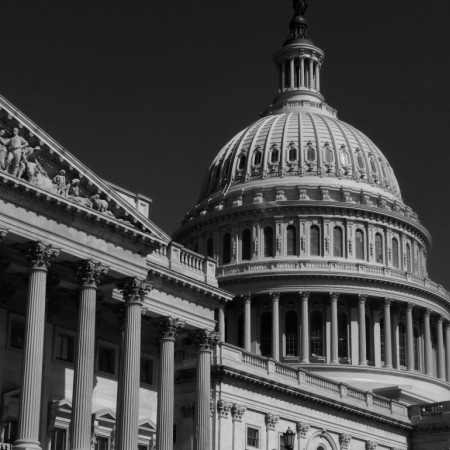 DC Capitol Angled Staff Background _ 