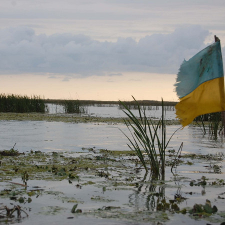sea water nature marsh swamp winter  pxhere.com_ scaled  