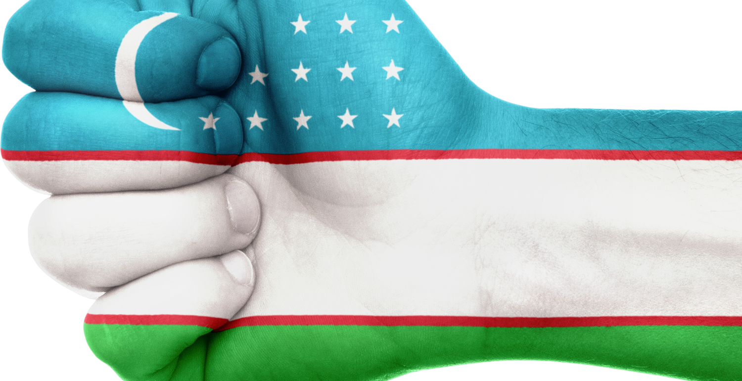 Closed Hand with Uzbekistan Flag